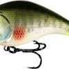13 Fishing Jabber Jaw Hybrid Squarebill Crankbait -Built 13 Fishing Tough. 13 fishing jabber jaw hybrid squarebill crankbait 99919.1651361443