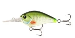13 Fishing Cliff Banger Medium-Deep Diving Crankbait 31 13 Fishing Cliff Banger Medium-Deep Diving Crankbait -Built 13 Fishing Tough. 32254099619929