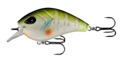 13 Fishing Flatty Daddy 2 1/2 Inch Flat-Sided Squarebill Crankbait 14 13 Fishing Flatty Daddy 2 1/2 Inch Flat-Sided Squarebill Crankbait -Built 13 Fishing Tough. 39255574184025