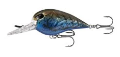 13 Fishing Gordito 2 Inch Medium Diving Crankbait 11 13 Fishing Gordito 2 Inch Medium Diving Crankbait -Built 13 Fishing Tough. 39332617879641