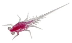 13 Fishing - Bernie - Panfish Plastics 19 13 Fishing - Bernie - Panfish Plastics -Built 13 Fishing Tough. BN S 1 Z 28475.1604077681