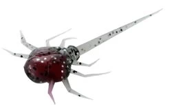 13 Fishing - Coconut Crab - Panfish Plastics 15 13 Fishing - Coconut Crab - Panfish Plastics -Built 13 Fishing Tough. CC CB 1 Z 11786.1604078623