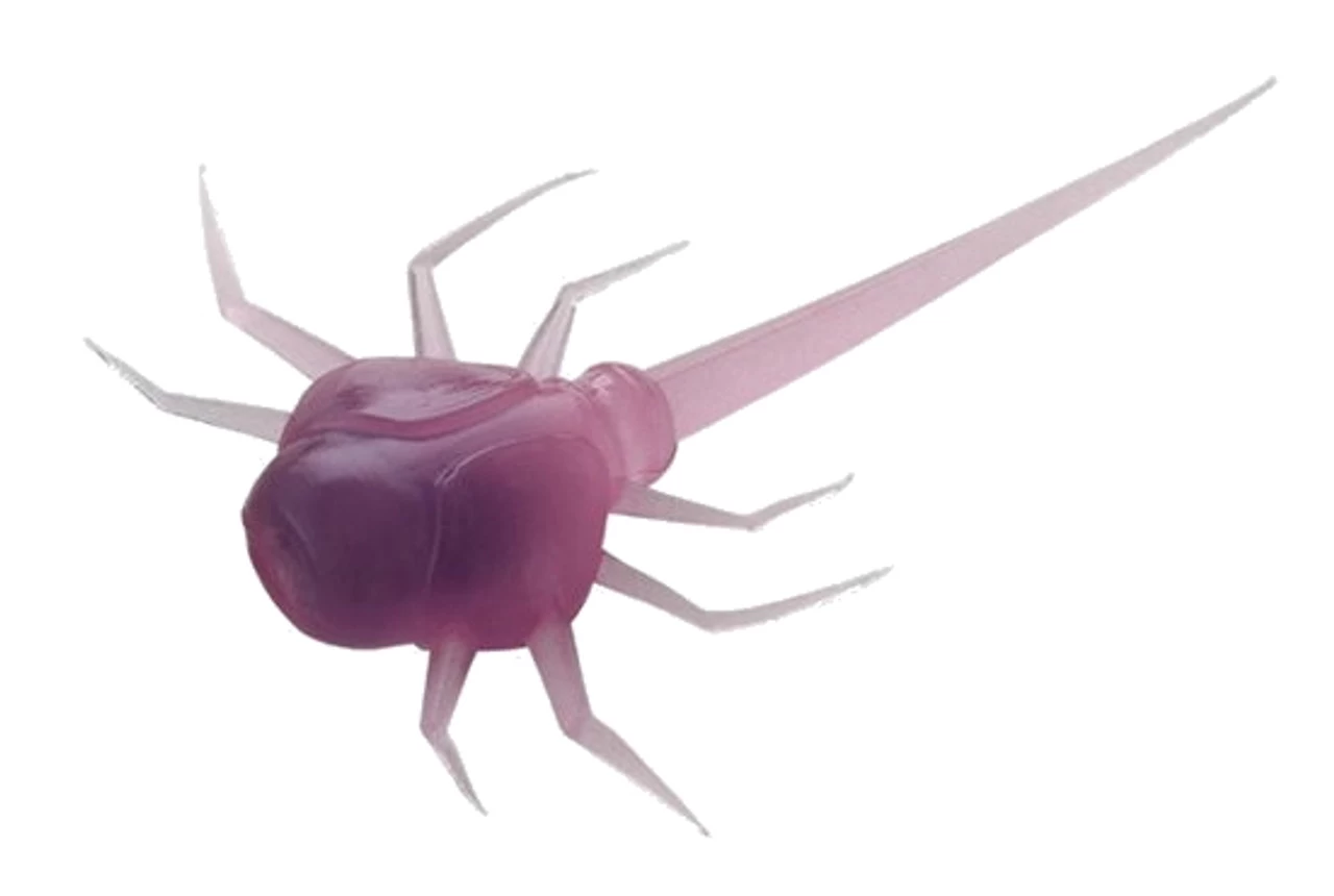 13 Fishing - Coconut Crab - Panfish Plastics 5 13 Fishing - Coconut Crab - Panfish Plastics - Image 3