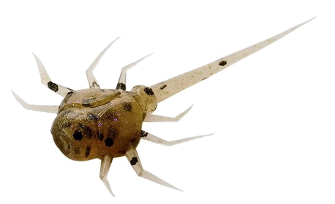 13 Fishing - Coconut Crab - Panfish Plastics 12 13 Fishing - Coconut Crab - Panfish Plastics - Image 10