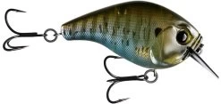 13 Fishing Scamp 1.5/2.5 Squarebill Crankbait 39 13 Fishing Scamp 1.5/2.5 Squarebill Crankbait -Built 13 Fishing Tough. flipRusty Bream